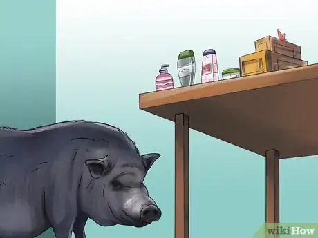 Image titled Have a Potbellied Pig for a Pet Step 6