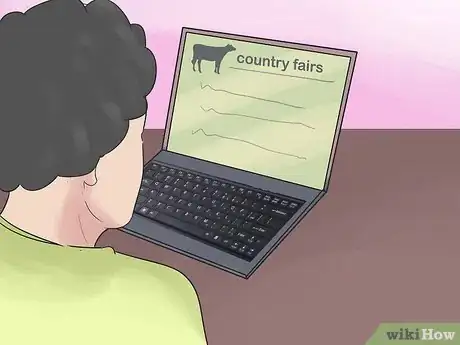 Image titled Show Heifers Step 8