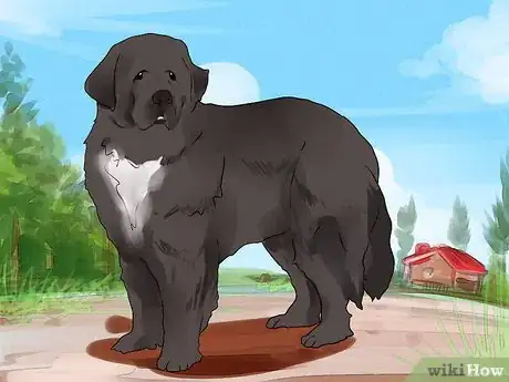 Image titled Choose a Laid‐Back Dog Step 9