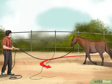 Image titled Round Pen a Horse Step 10