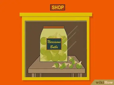 Image titled Plant Narcissus Bulbs Step 06