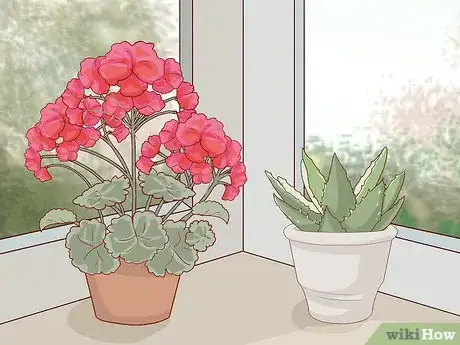 Image titled Prepare Your Garden for Winter Step 1