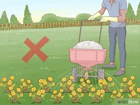 Image titled Save Bees from Extinction Step 1