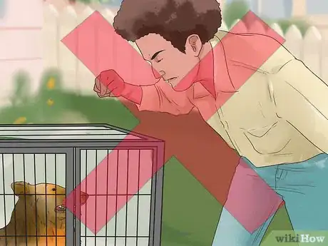 Image titled Buy a Dog Crate Step 14