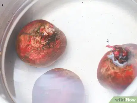 Image titled Pickle Beets Step 9