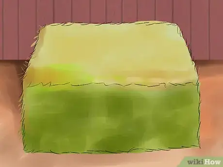 Image titled Feed a Starving Horse Step 1