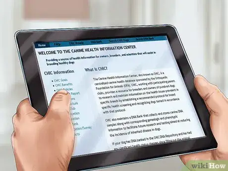 Image titled Care for an Australian Terrier Step 1