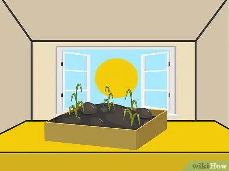 Image titled Grow Stargazer Lilies Step 03