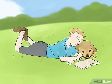 Image titled Calm a Hyperactive Dog Step 11