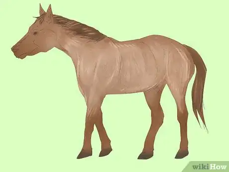 Image titled Measure for a Horse Blanket Step 15