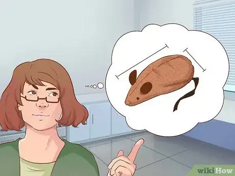 Image titled Train Your Cat to Fetch a Toy Mouse Step 1