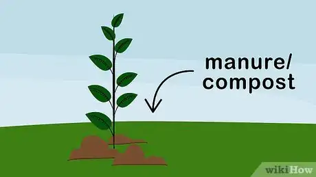 Image titled Grow Violets Step 9