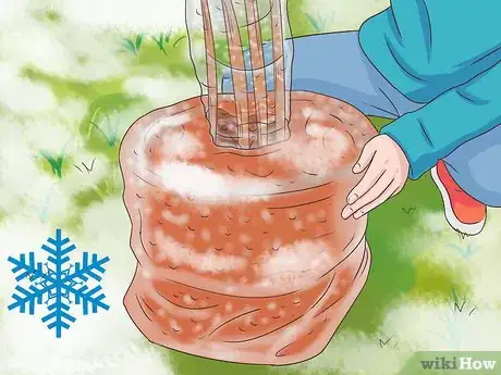 Image titled Maintain a Planter Step 2