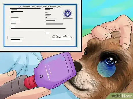 Image titled Perform Pre‐Breeding Health Checks for Dogs Step 8