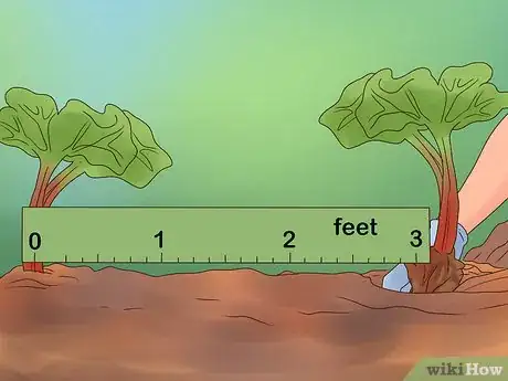 Image titled Divide Rhubarb Plants Step 13