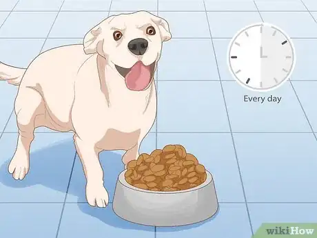 Image titled Prevent Dog Fights Step 1