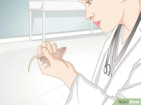 Image titled Stop Your Pet Mouse from Sneezing Step 4