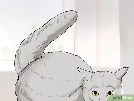 Image titled Figure Out Your Cat's Mood Step 11