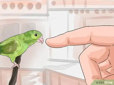 Image titled Perch Train Your Parakeet Step 7