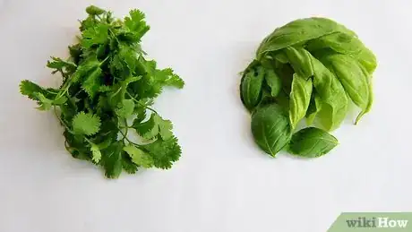 Image titled Freeze and Preserve Herbs in Olive Oil Step 3