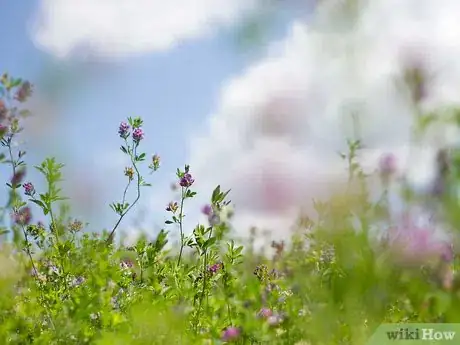 Image titled Reach Valley of Flowers National Park, India Step 6