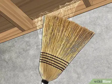 Image titled Keep False Widow Spiders Out of Your House Step 12