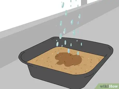 Image titled Plant Sycamore Tree Seeds Step 5