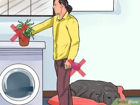 Image titled Care for a Recently Rehomed Dog Step 2