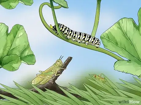 Image titled Attract Orioles Step 3