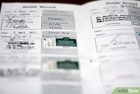 Image titled Alleviate Dry Skin in Dogs Step 2