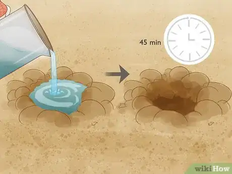 Image titled Grow Salvias Step 3