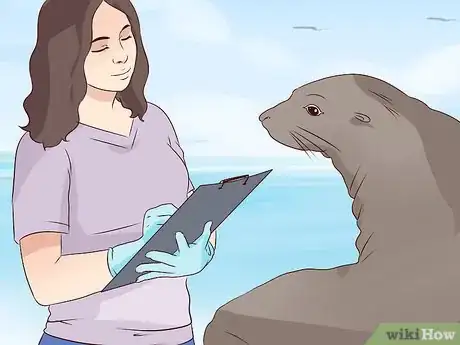 Image titled Become a Marine Biologist Step 12