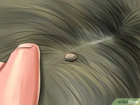 Image titled Keep Ticks from Your Dogs Step 2