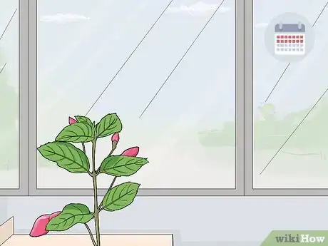 Image titled Fight Fuschia Gall Mites Step 10