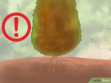 Image titled Plant Leyland Cypress Step 25