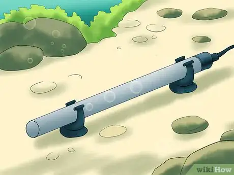 Image titled Take Care of a Siamese Fighting Fish Step 3