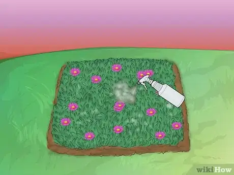 Image titled Grow Ice Plants Step 20