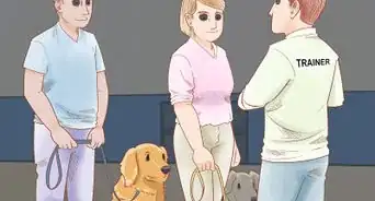 Stop a Dog from Pawing