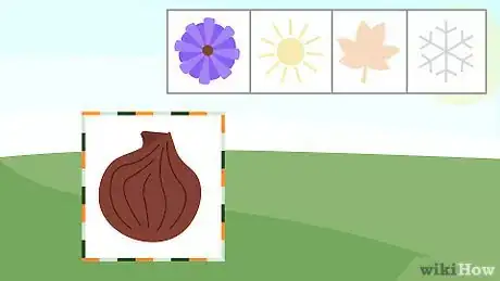 Image titled Plant Oxalis Step 7