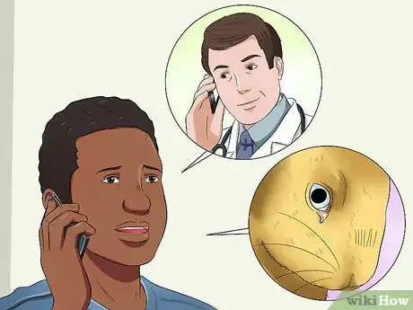 Image titled Deliver Eye Medication to Rabbits Step 10