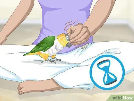 Image titled Handle Your Caique Parrot Step 6