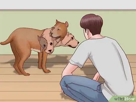 Image titled Keep Your Dog Safe on Halloween Step 7