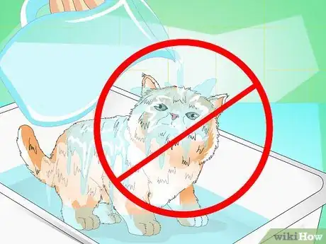 Image titled Give a Kitten a Bath Step 10