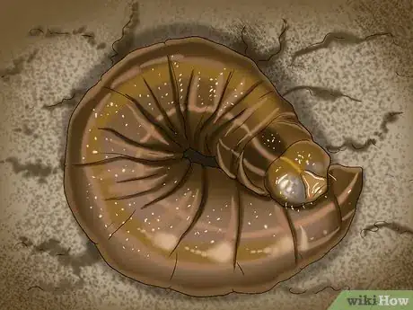 Image titled Keep Caterpillars Out of the Garden Step 2