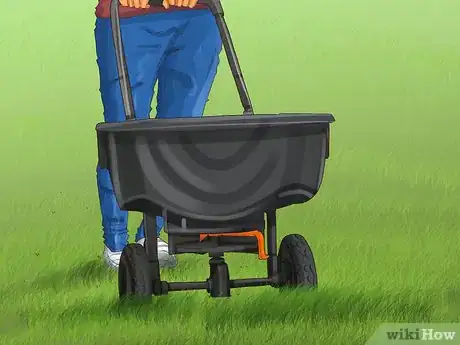 Image titled Apply Weed and Feed Step 7