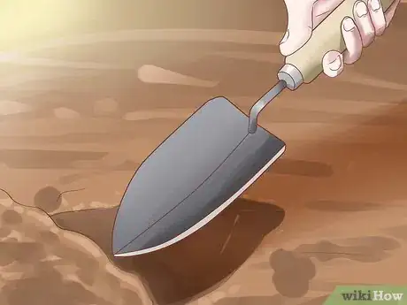 Image titled Grow Chives Step 11