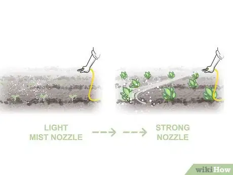 Image titled Grow Biennial Vegetables Step 05