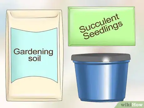 Image titled Grow a Miniature Succulent Garden Step 1