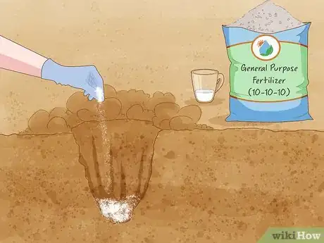 Image titled Grow Salvias Step 6