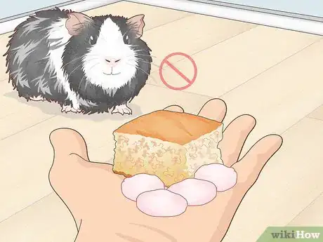 Image titled Prevent Your Guinea Pig from Becoming Sick Step 7